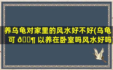 养乌龟对家里的风水好不好(乌龟可 🐶 以养在卧室吗风水好吗)